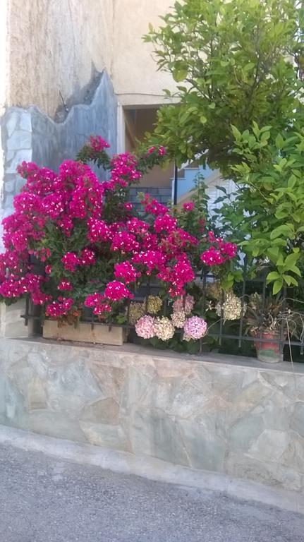 Maria Apartments Asíni Εξωτερικό φωτογραφία
